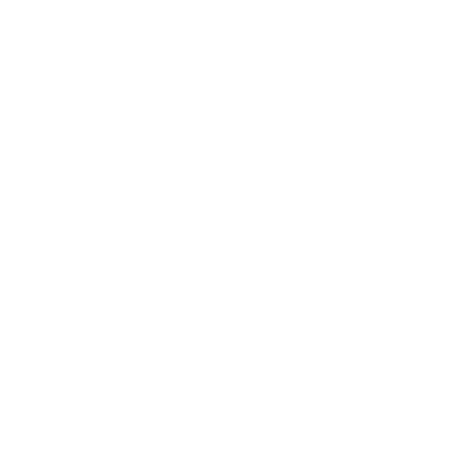 Podotherapie Reggestreek fysiekzorg_tekengebied-1