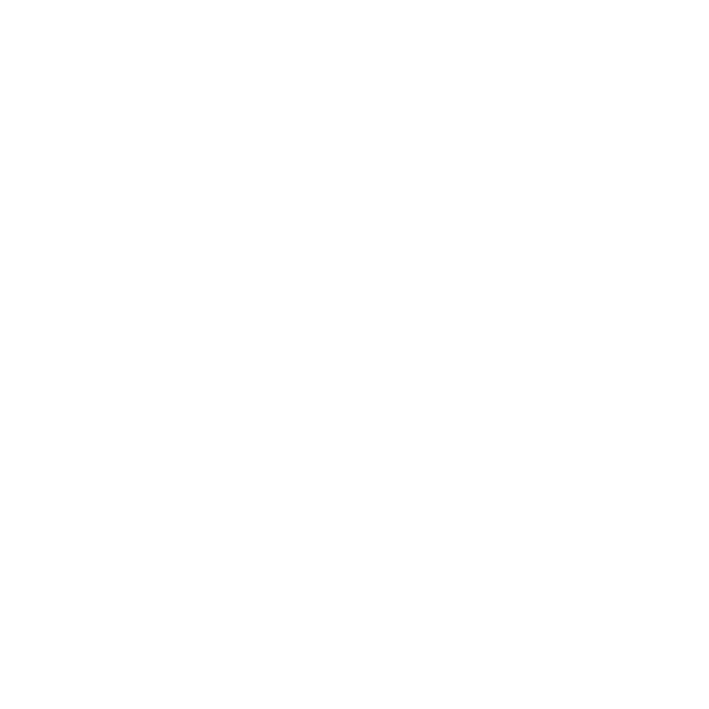 Podotherapie Reggestreek fysio_loat_de_jong_tekengebied-1