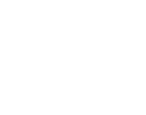 Podotherapie Reggestreek logo wit