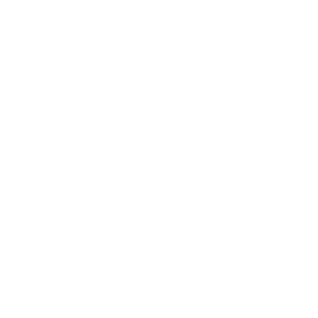 Podotherapie Reggestreek zorgaccent_tekengebied-1