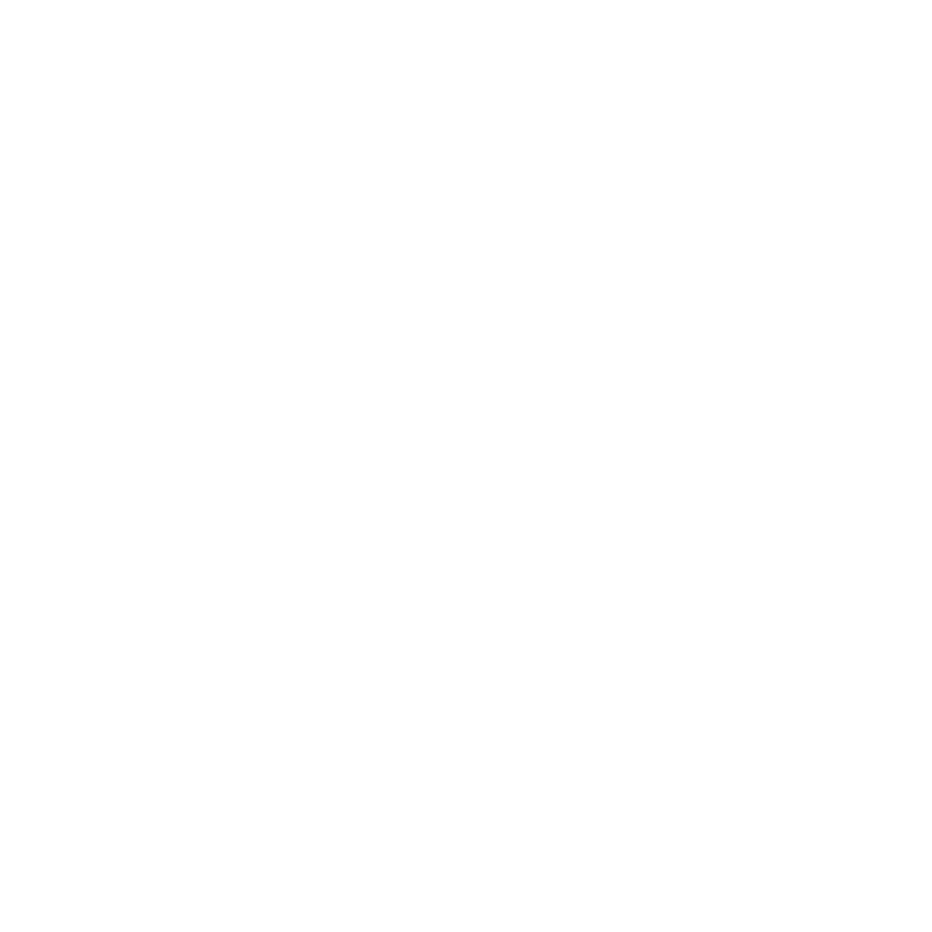 Podotherapie Reggestreek mediapas