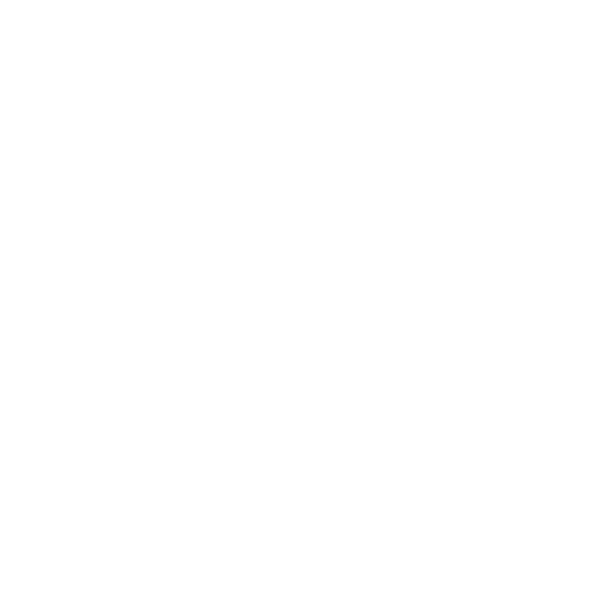 Logo Fysiobewust Wit