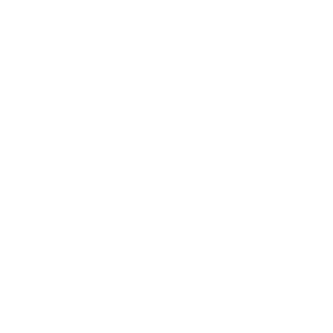 Logo Oefentherapie Rijssen Wit