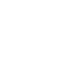 Logo Fysiofeike Wit