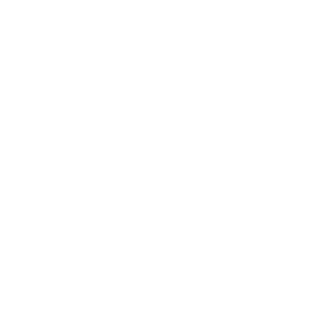 Logo Fysiofeike Wit